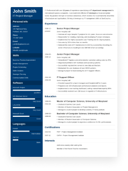 Example CV 4